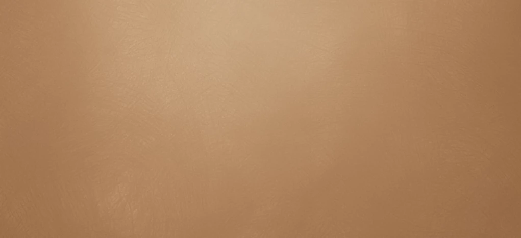 MDF PANEL (Mat ORBIT BAKIR 3110) 1220*2800*18mm
