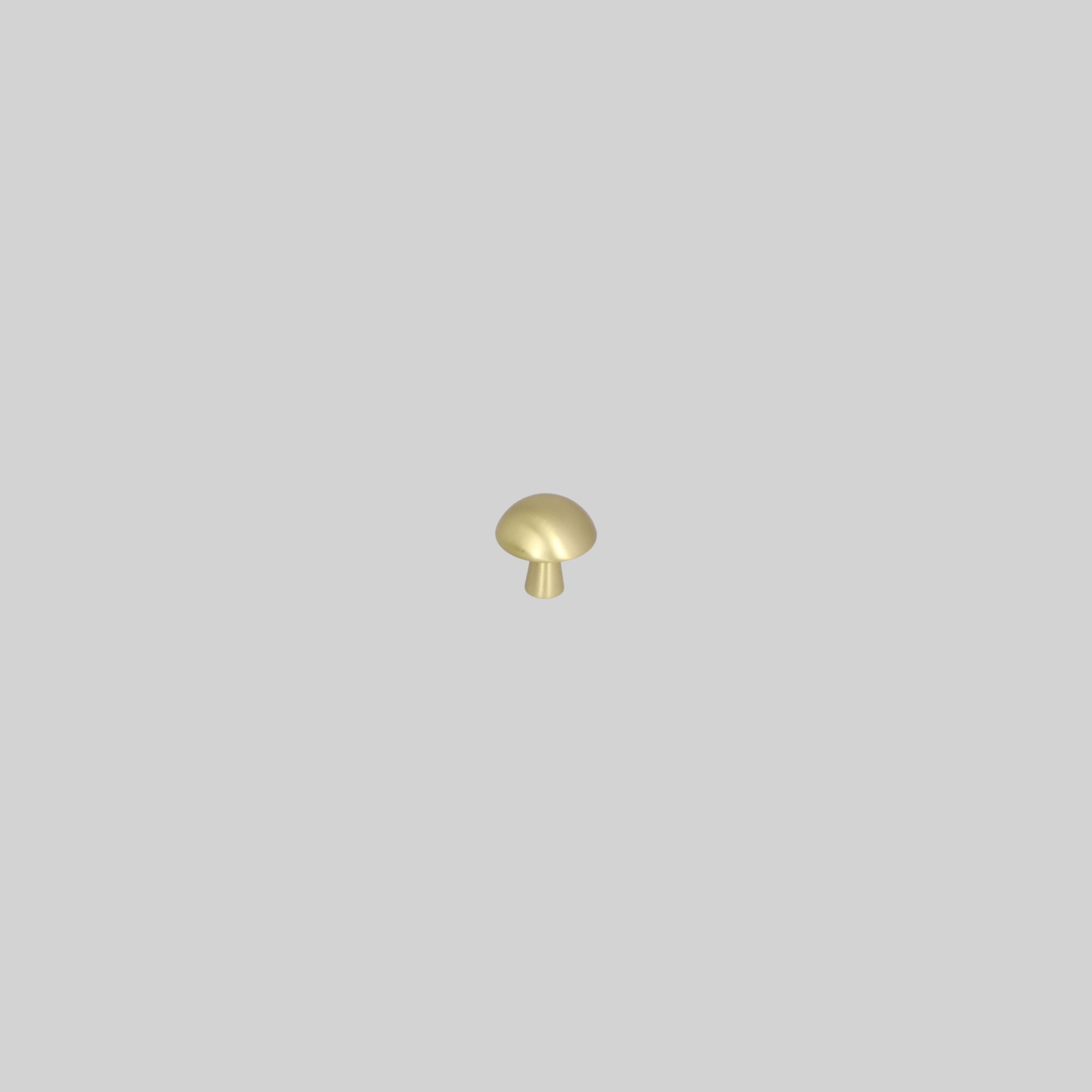 ავეჯის სახელური სოკოსებრი,Satin Brass,თუთია,LK50661 ZF