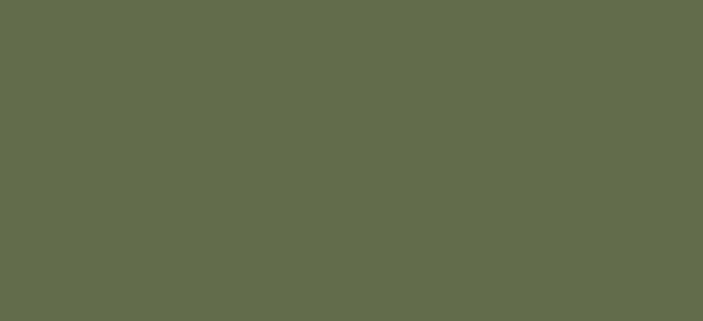 MDF PANEL 3P KARETTA YESILI 3051 (One side) 1220*2800*08MM