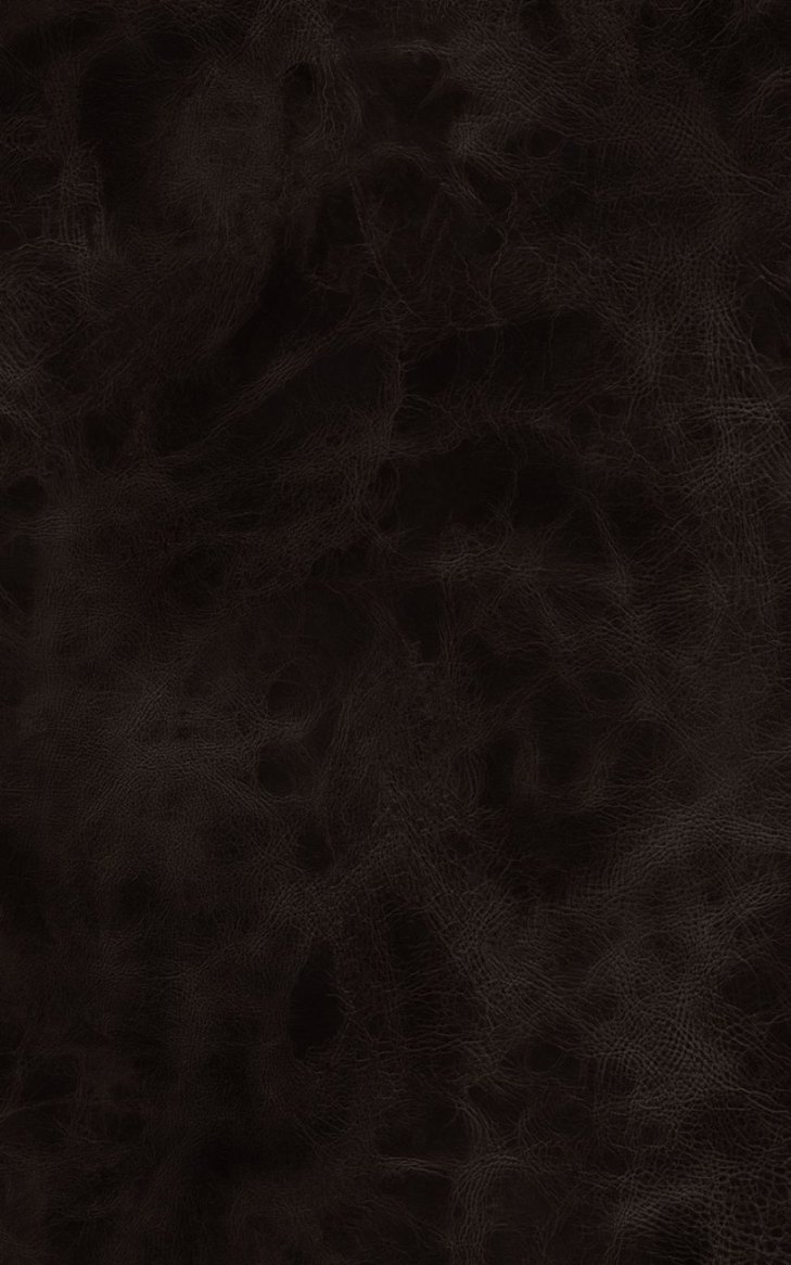 სამზარეულოს ზედაპირი პრიალა (5113P) 3660*600*28mm
